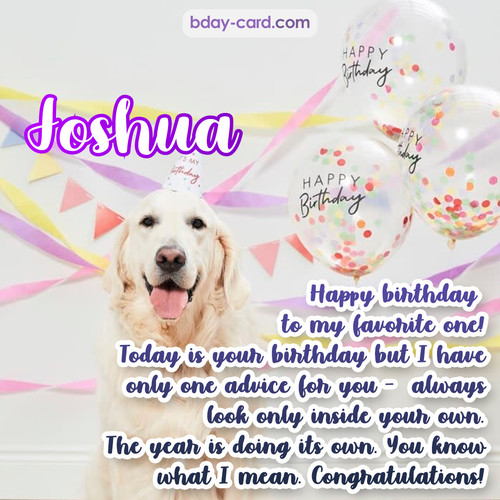Happy Birthday pics for Joshua with Dog