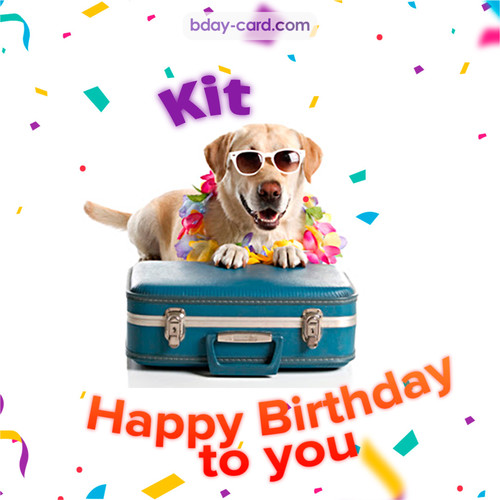 Funny Birthday pictures for Kit