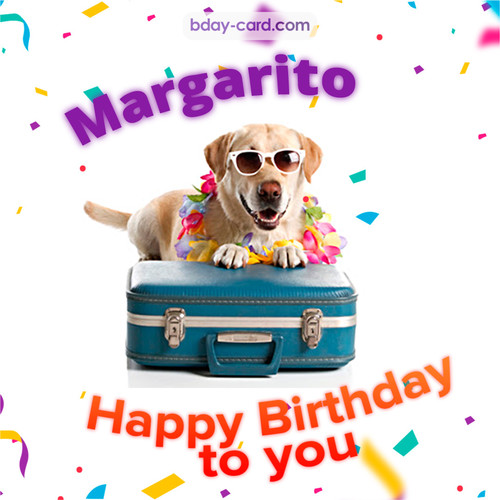 Funny Birthday pictures for Margarito