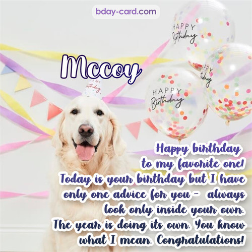 Happy Birthday pics for Mccoy with Dog