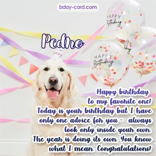 Happy Birthday pics for Pedro with Dog